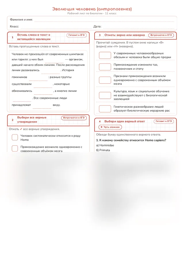 Начало рабочего листа