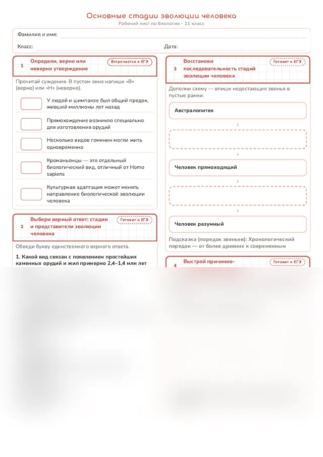 Начало рабочего листа