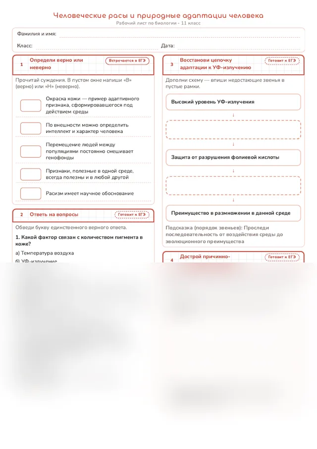 Начало рабочего листа