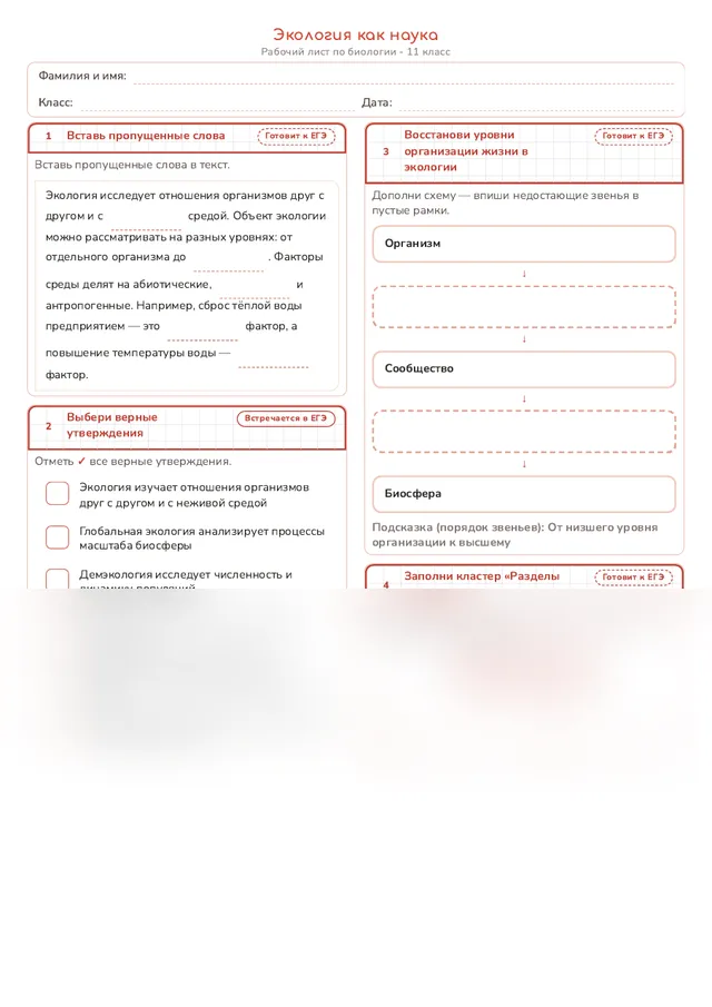 Начало рабочего листа