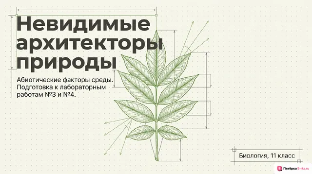 Обложка презентации к уроку «Абиотические факторы»