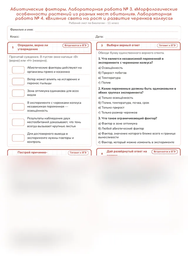 Начало рабочего листа
