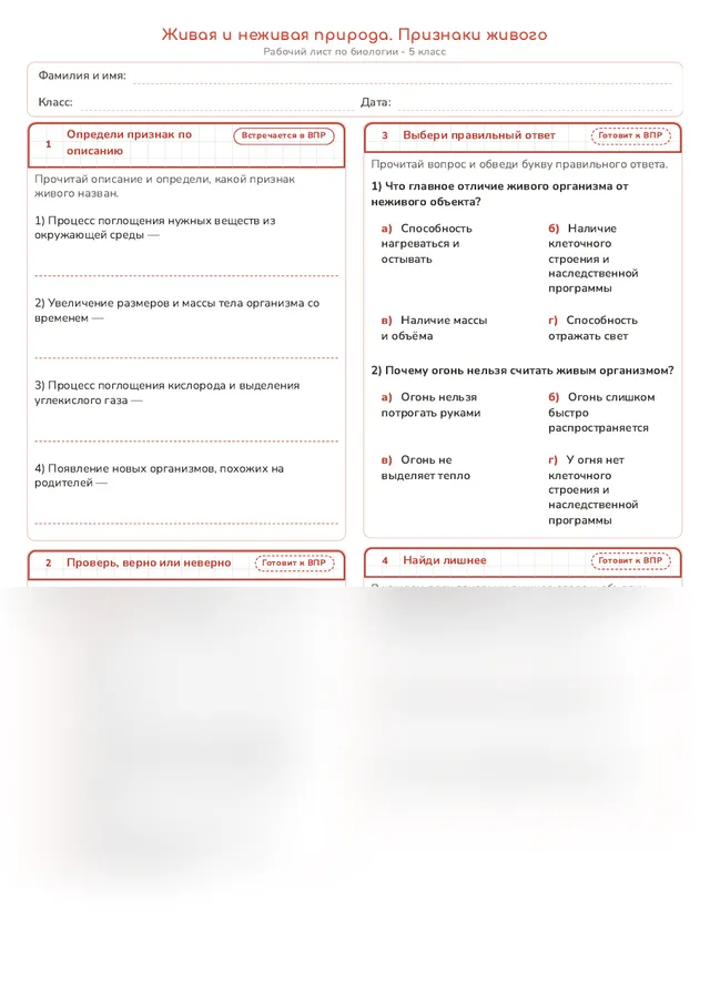 Начало рабочего листа