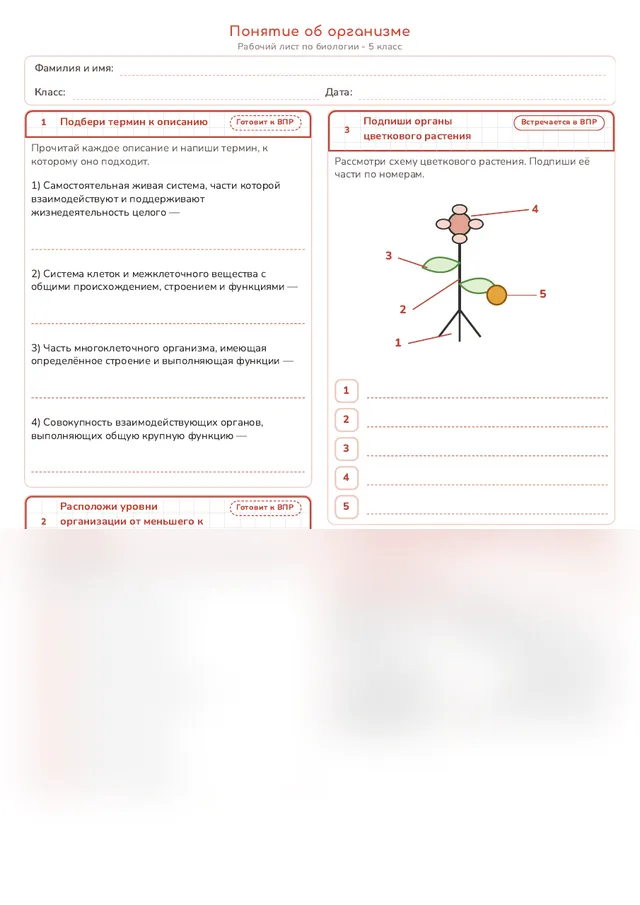 Начало рабочего листа
