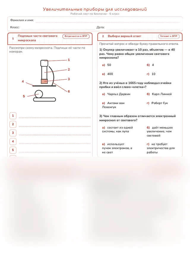 Начало рабочего листа