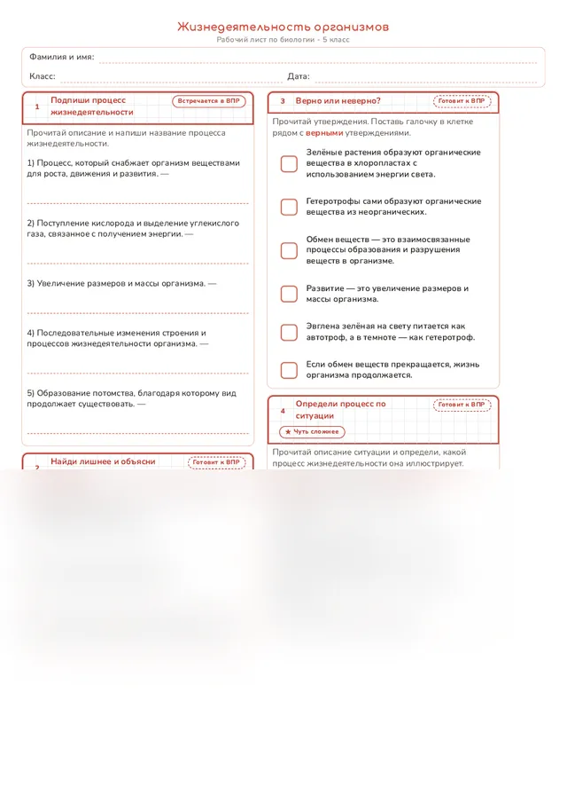 Начало рабочего листа