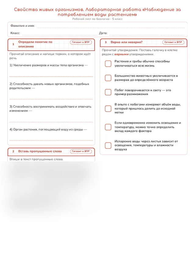 Начало рабочего листа
