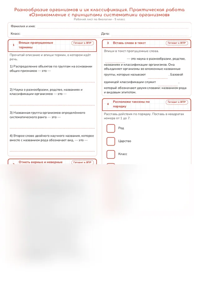Начало рабочего листа