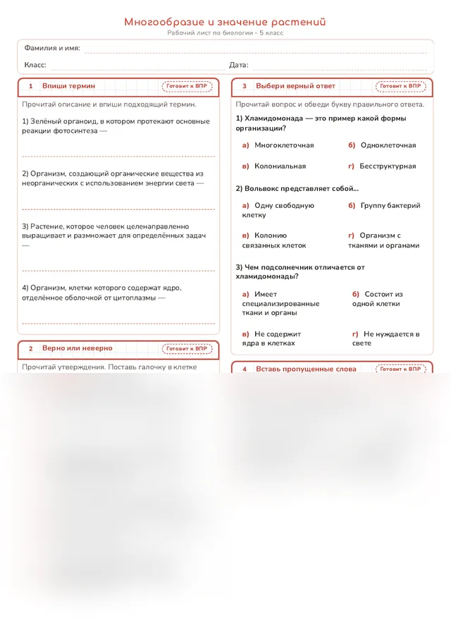 Начало рабочего листа