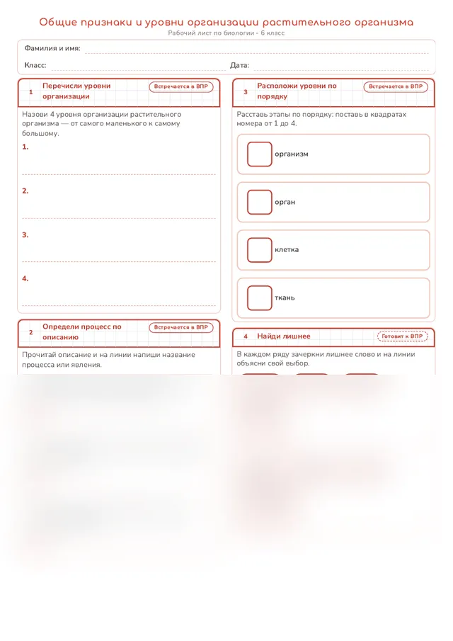 Начало рабочего листа