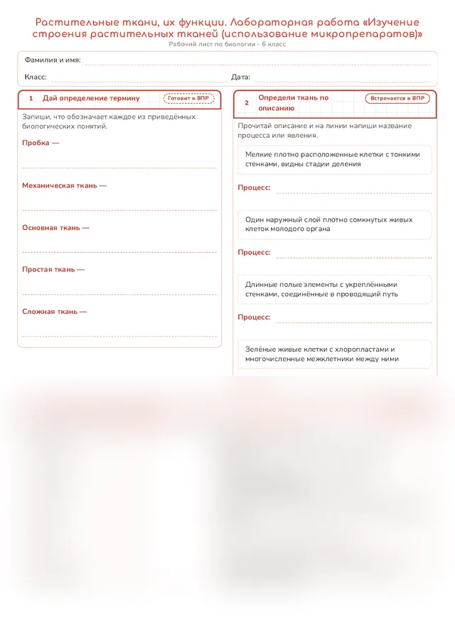 Начало рабочего листа