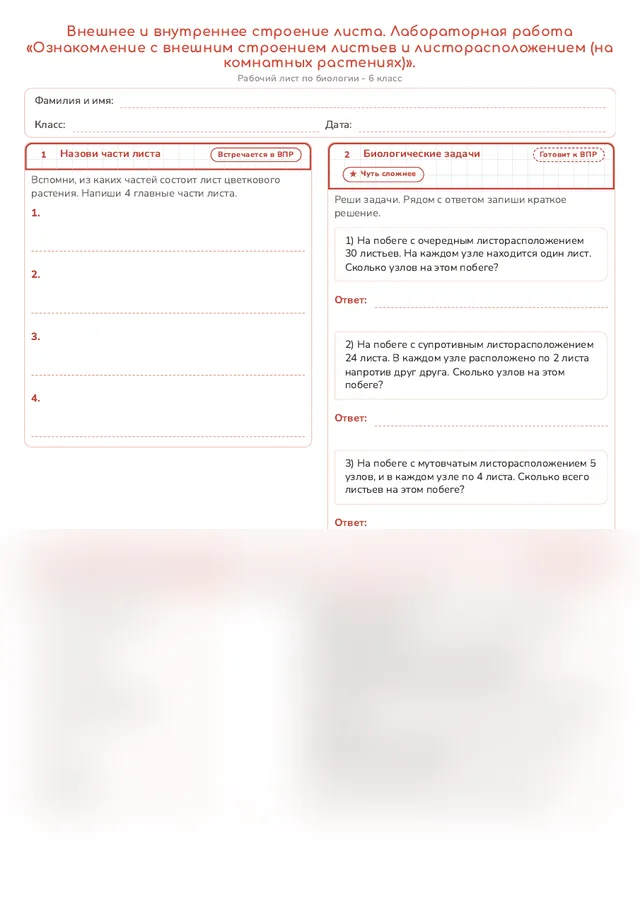 Начало рабочего листа