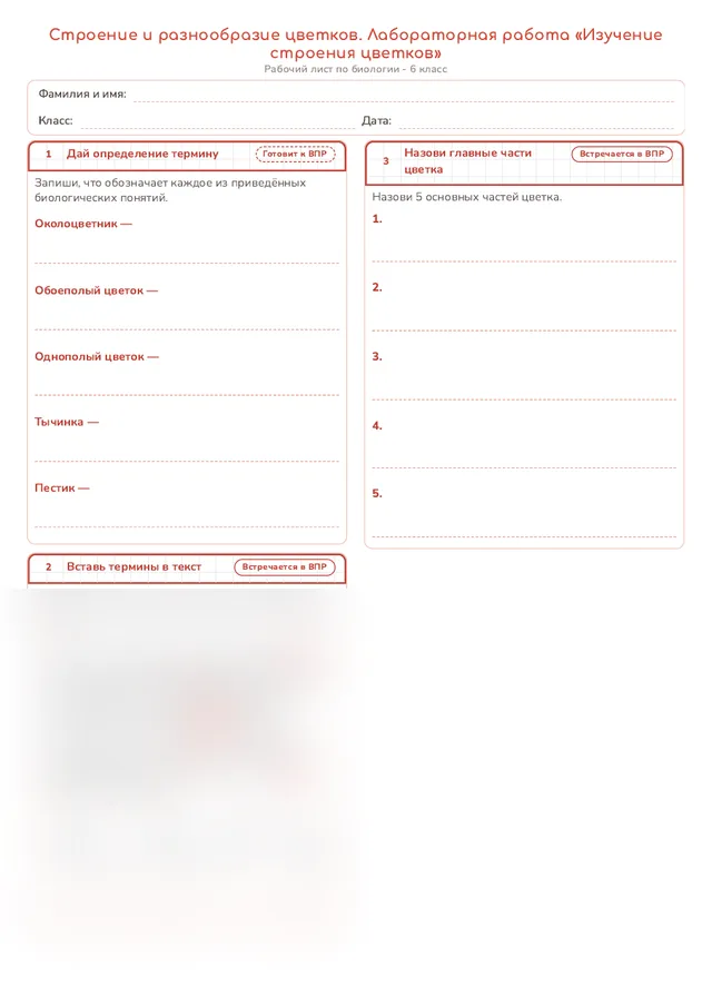 Начало рабочего листа
