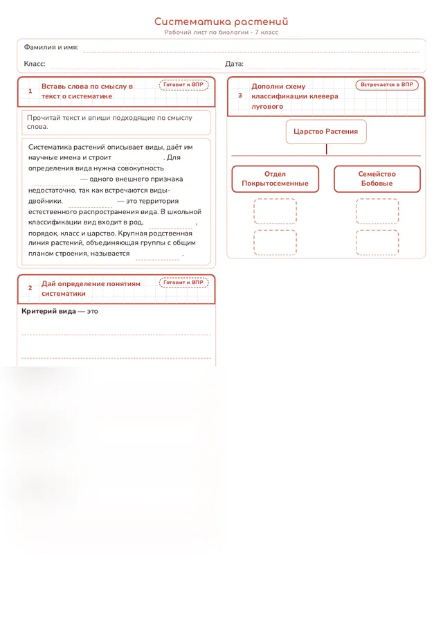 Начало рабочего листа