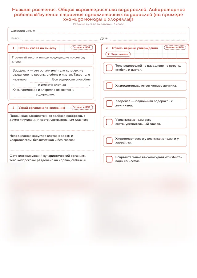Начало рабочего листа