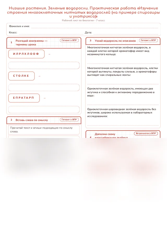 Начало рабочего листа