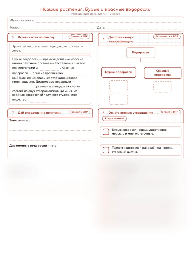 Начало рабочего листа