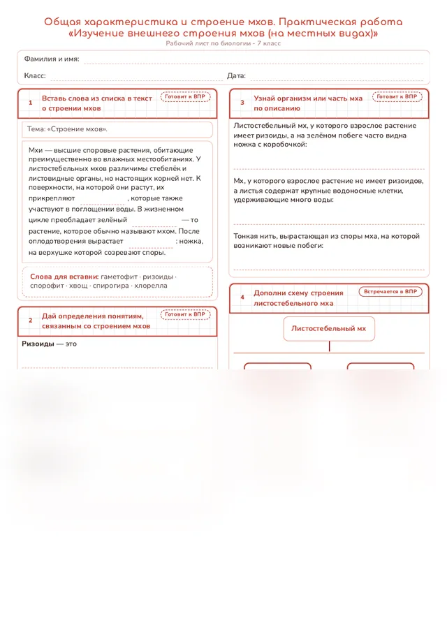 Начало рабочего листа