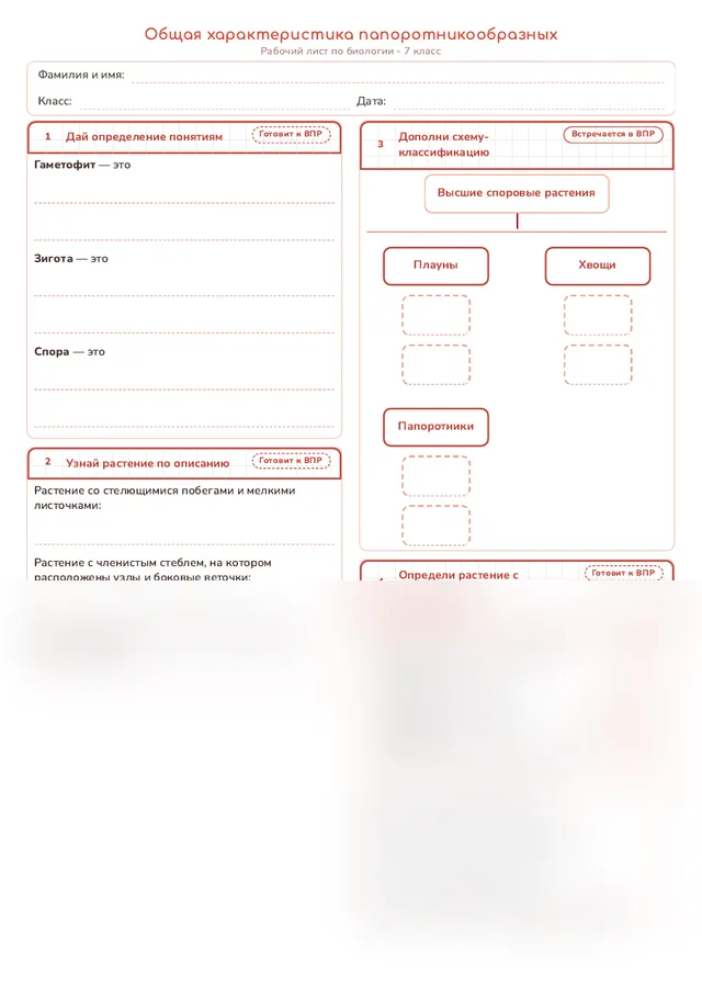 Начало рабочего листа