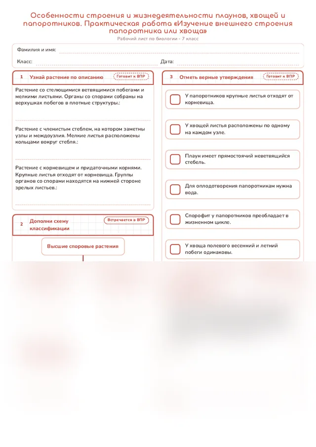 Начало рабочего листа