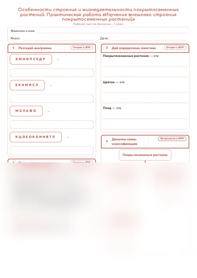 Начало рабочего листа
