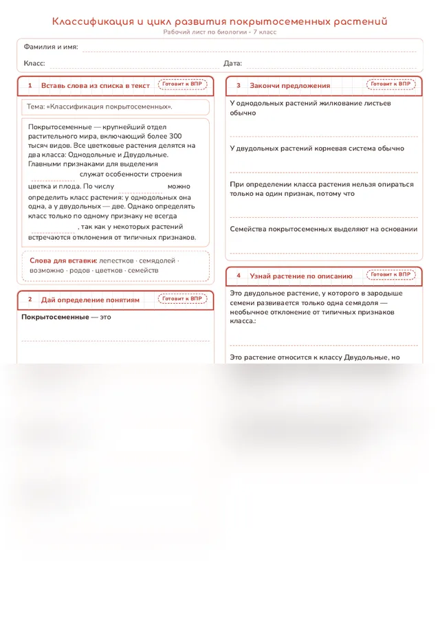 Начало рабочего листа