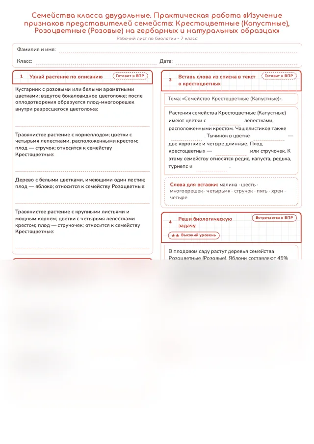 Начало рабочего листа
