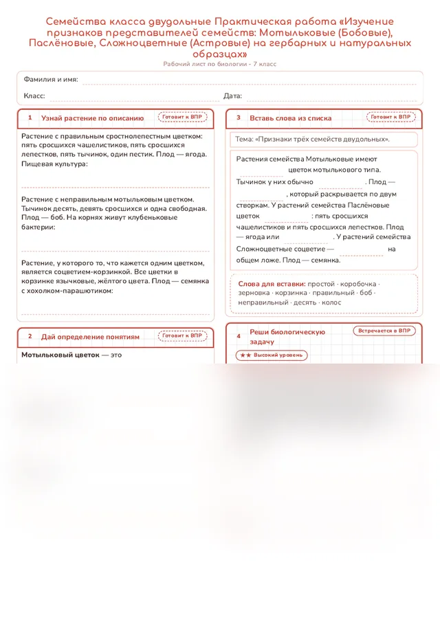 Начало рабочего листа