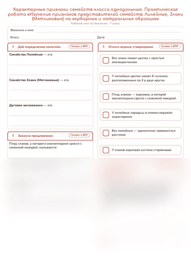 Начало рабочего листа