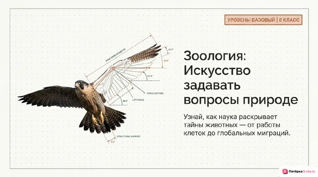 Обложка презентации к уроку «Зоология – наука о животных»
