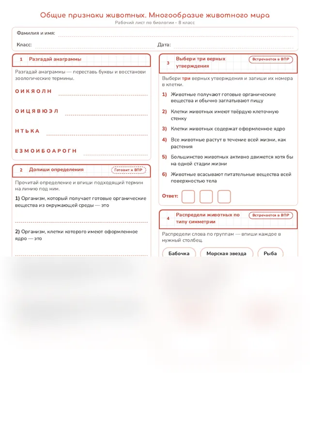 Начало рабочего листа