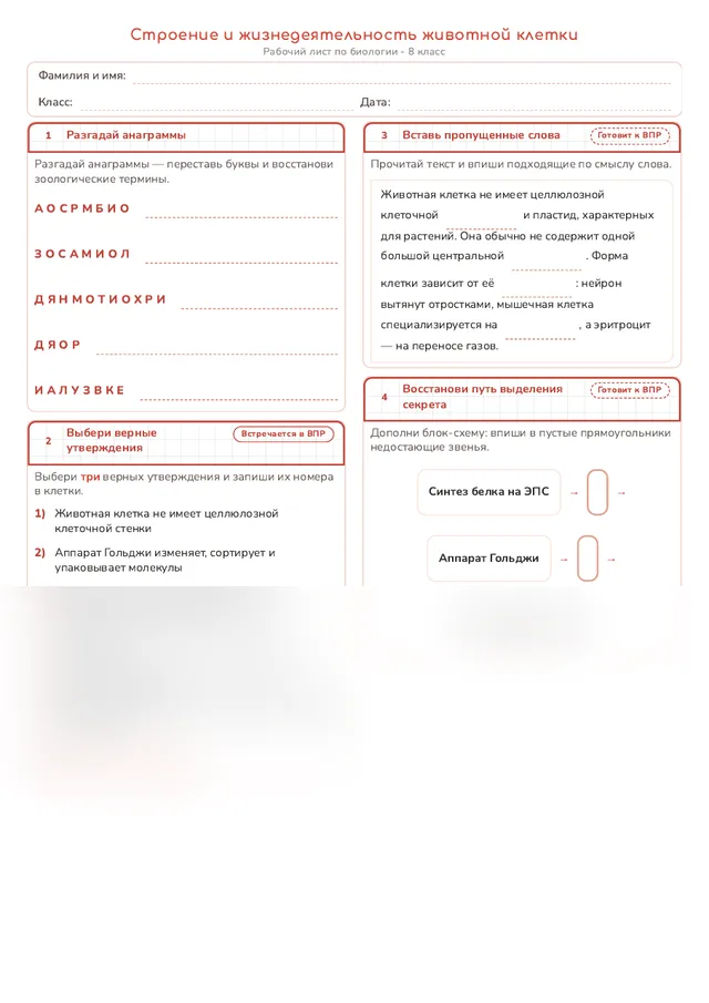 Начало рабочего листа