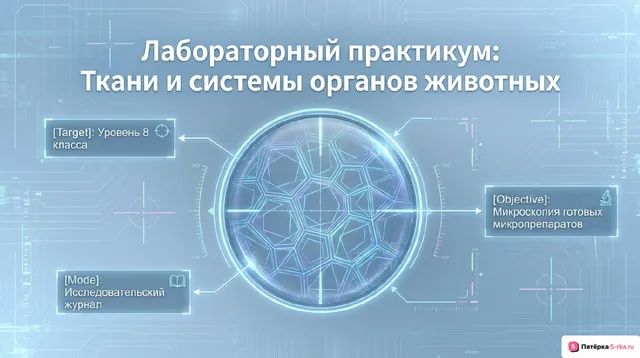 Обложка презентации к уроку «Ткани животных»