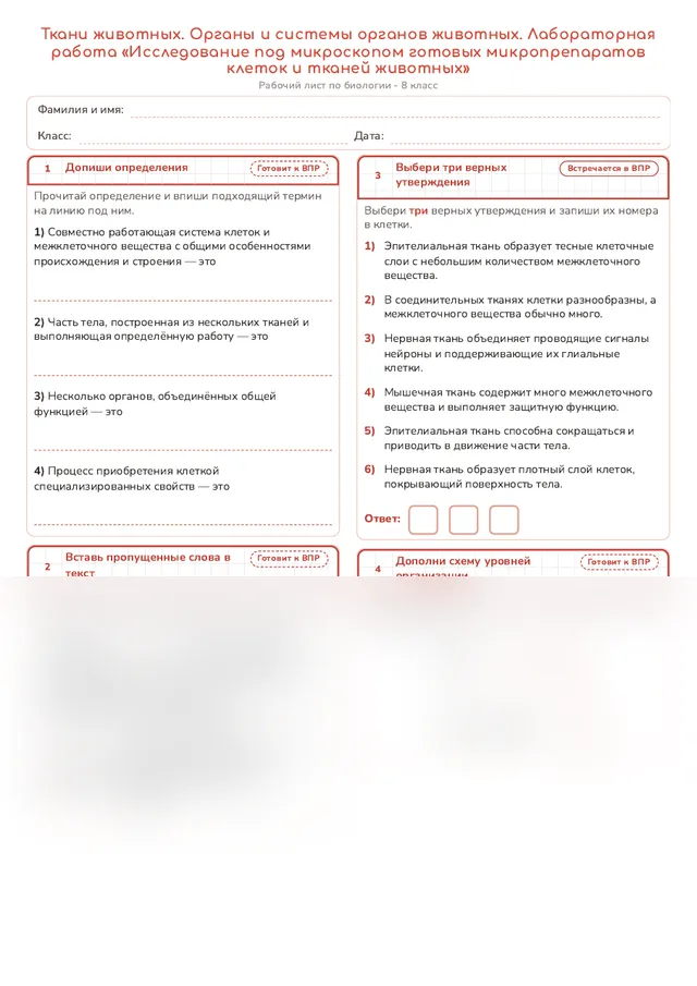 Начало рабочего листа