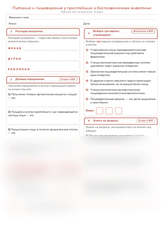 Начало рабочего листа