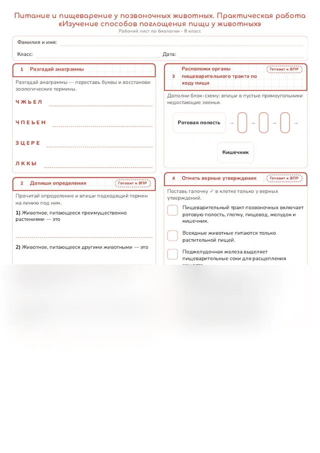 Начало рабочего листа
