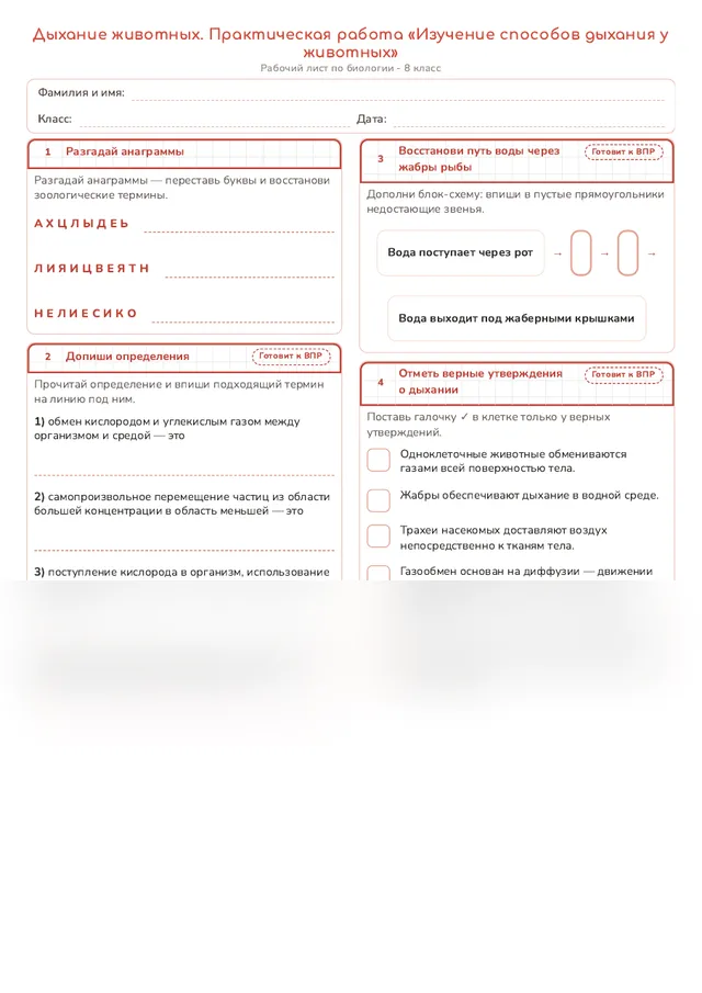 Начало рабочего листа