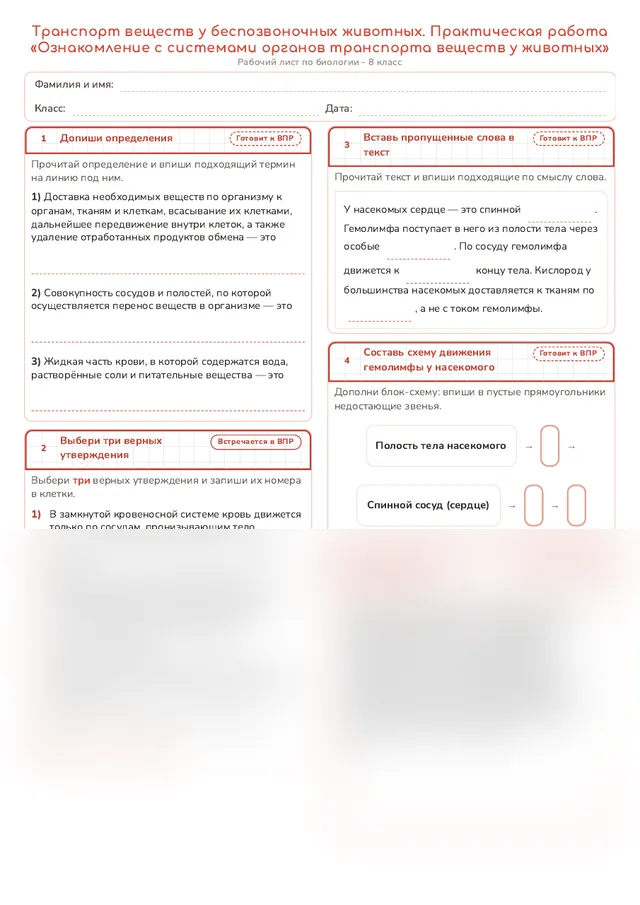 Начало рабочего листа