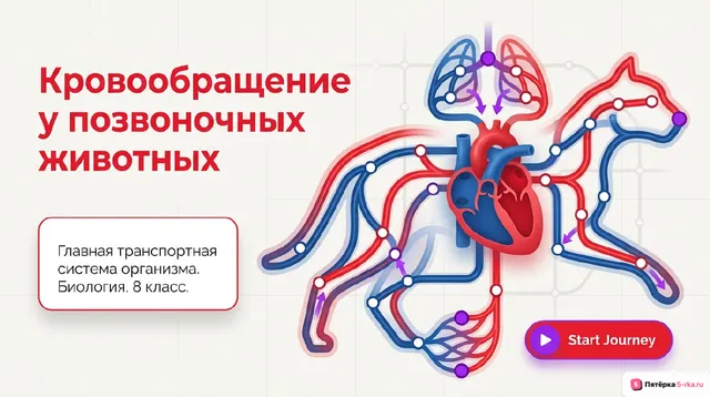 Обложка презентации к уроку «Кровообращение у позвоночных животных»