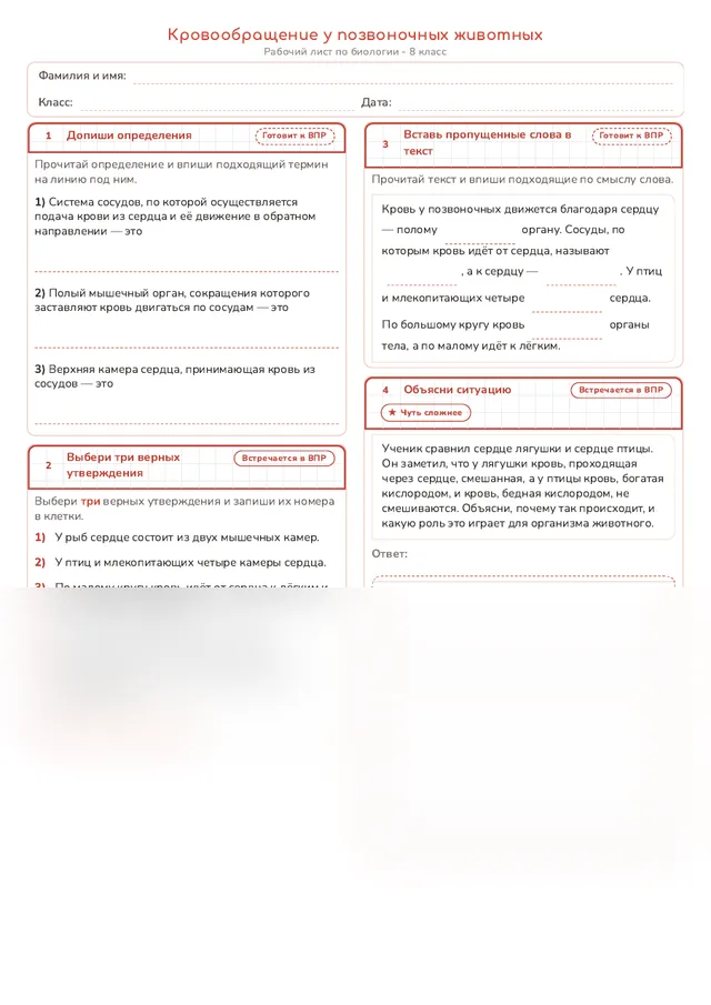 Начало рабочего листа