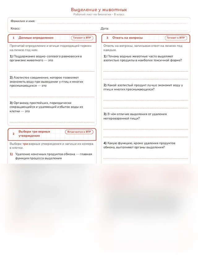 Начало рабочего листа