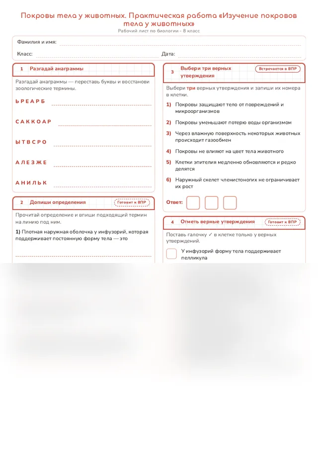 Начало рабочего листа