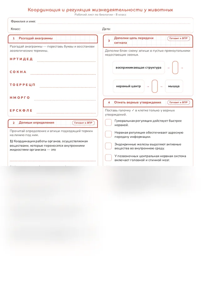Начало рабочего листа