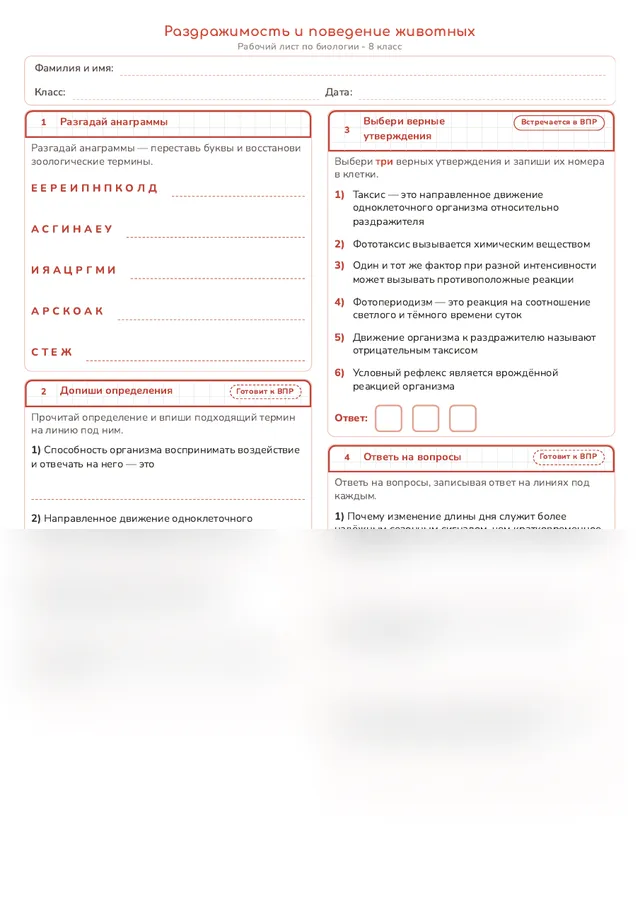 Начало рабочего листа
