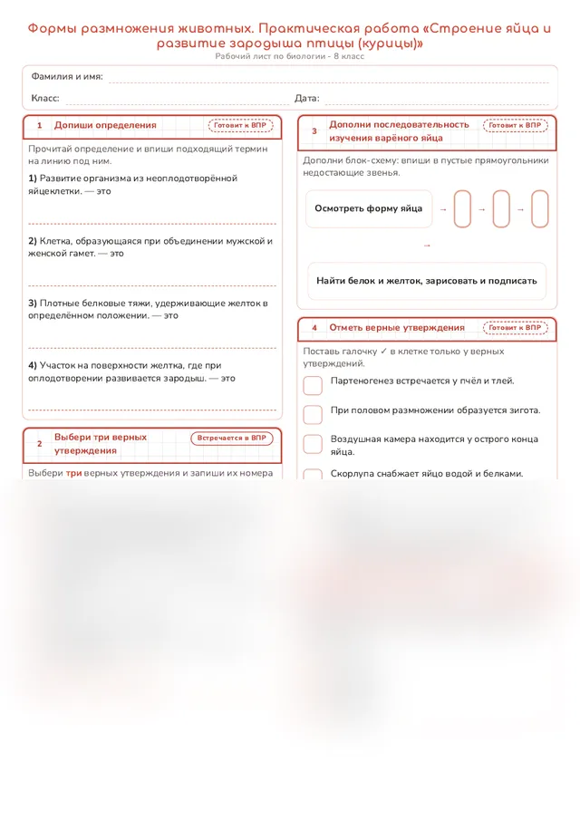 Начало рабочего листа
