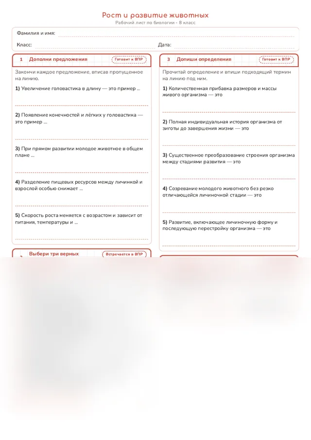 Начало рабочего листа