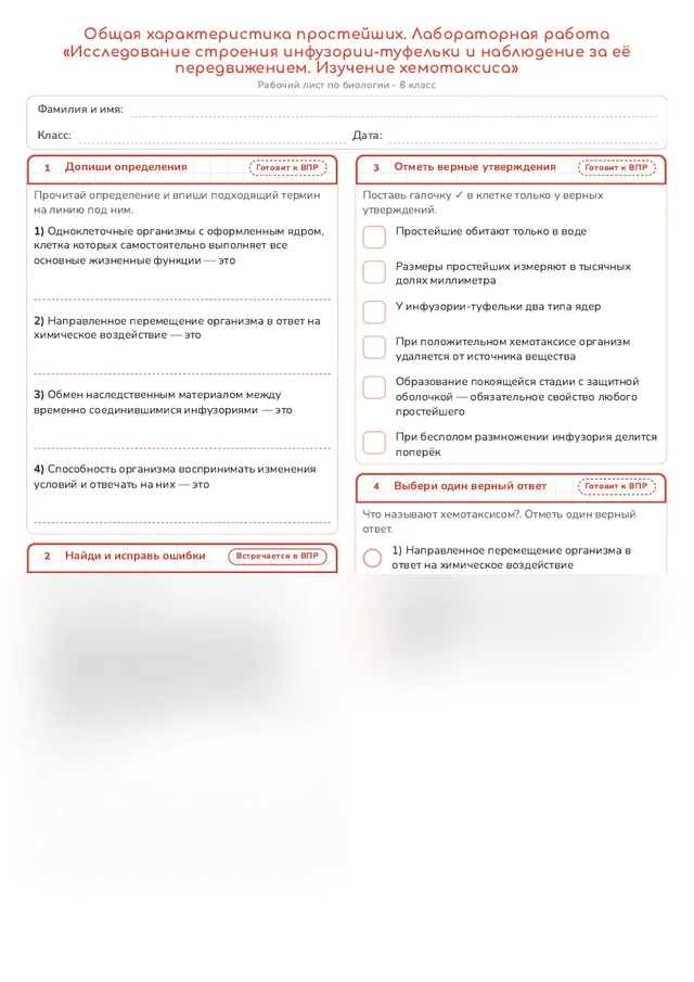 Начало рабочего листа