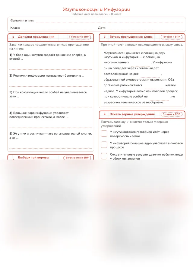 Начало рабочего листа
