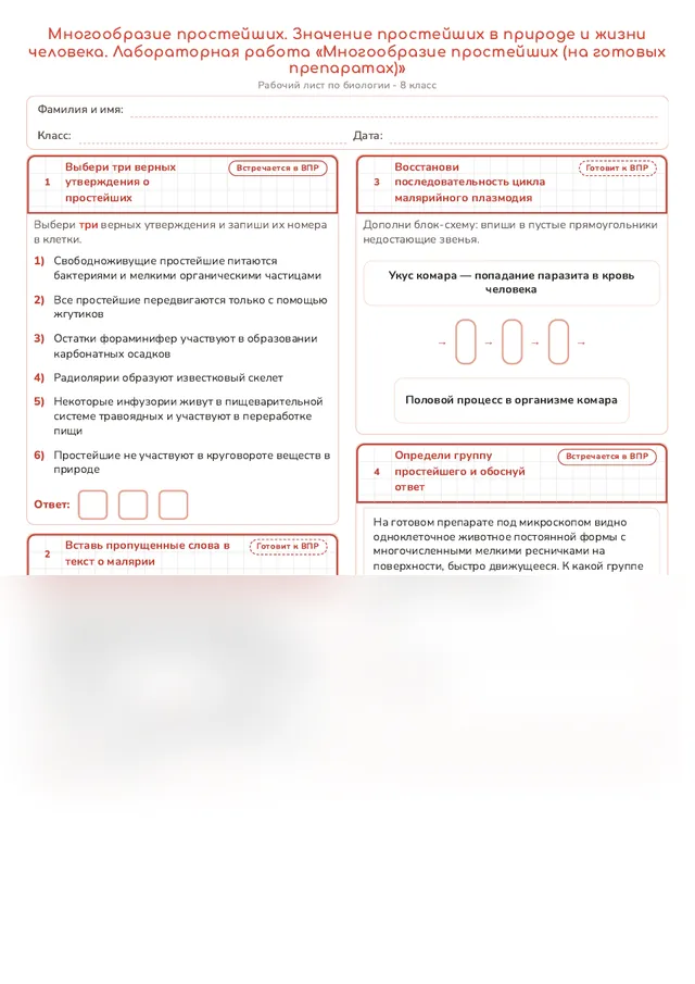 Начало рабочего листа