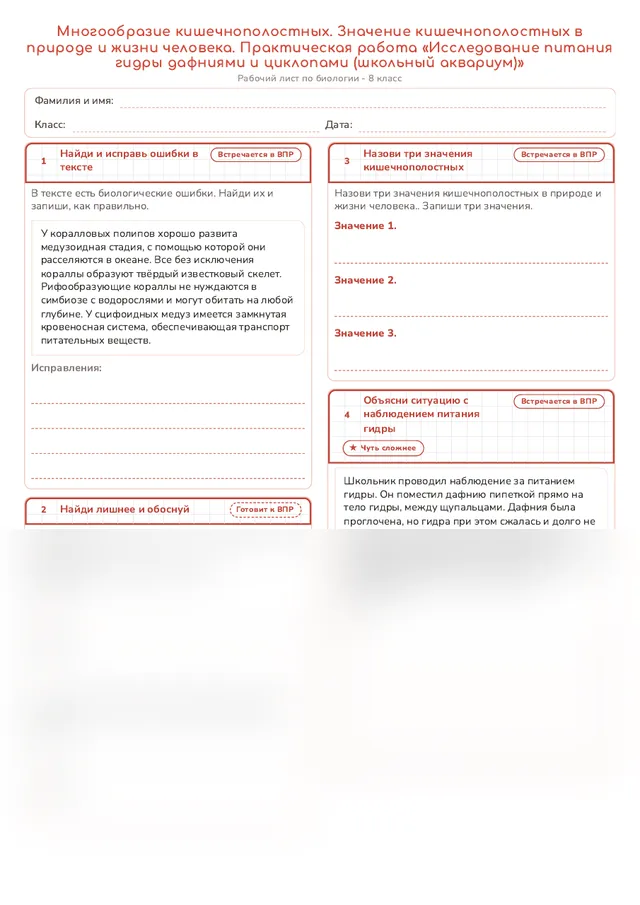 Начало рабочего листа